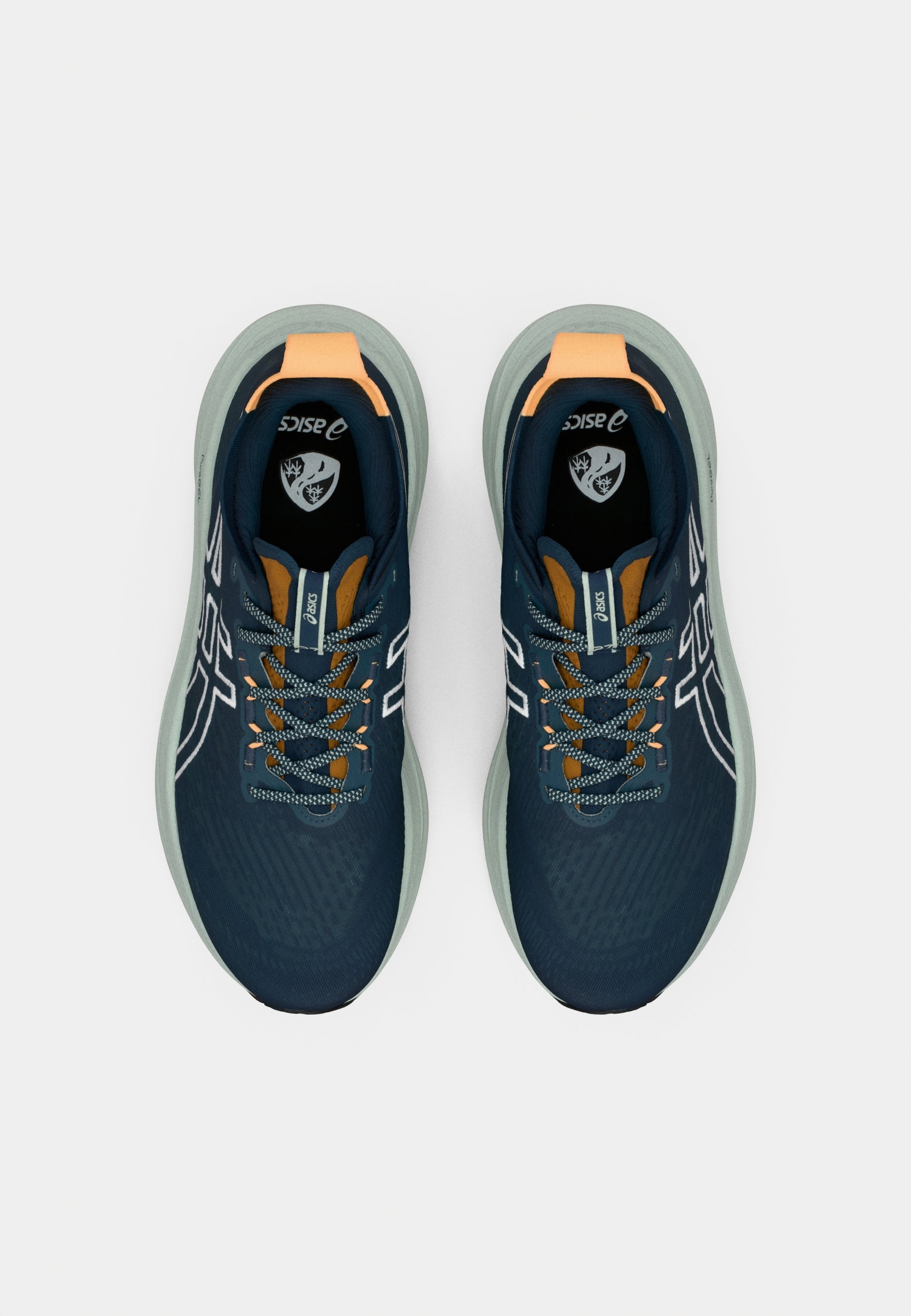 ASICS GEL-NIMBUS 27 TR - Hardloopschoenen voor op de weg - nature bathing/tranquil teal