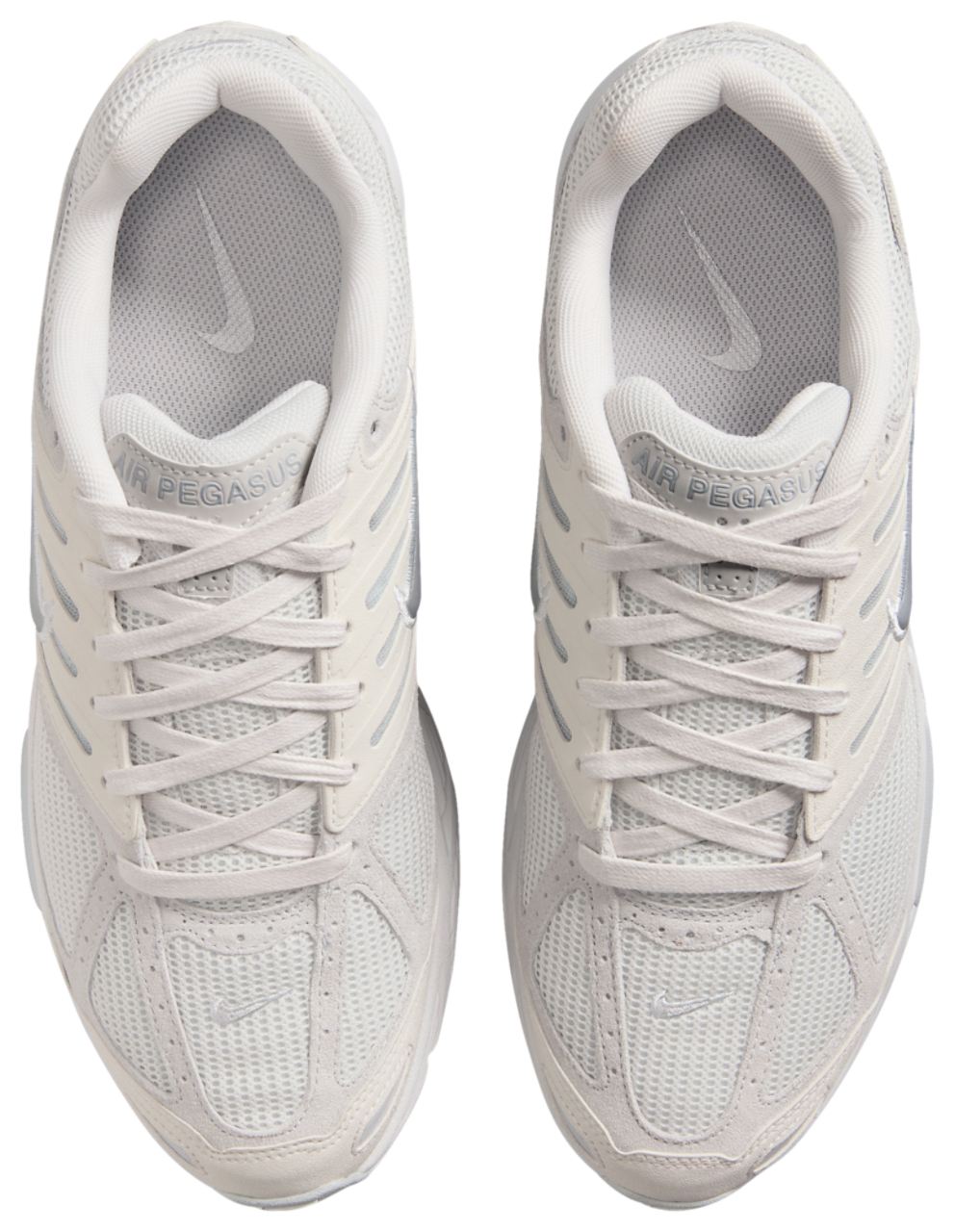 Nike Pegasus 2005