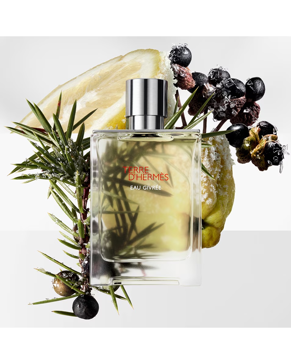 HERMÈS TERRE D'HERMÈS EAU GIVRÉE EAU DE PARFUM