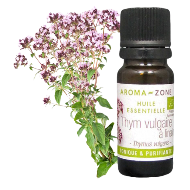 Huile essentielle Thym à linalol de Provence BIO