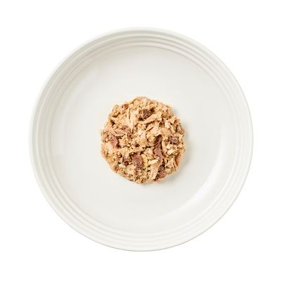 Encore Γάτα σε κουτί 16 x 70g