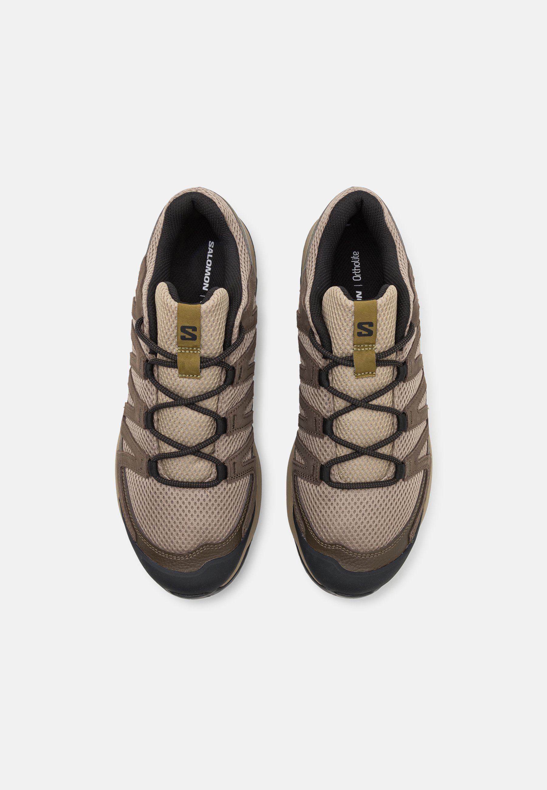 Salomon X-ADVENTURE RECON - Chaussures de randonnée - couleur sable/falcon/olive martini