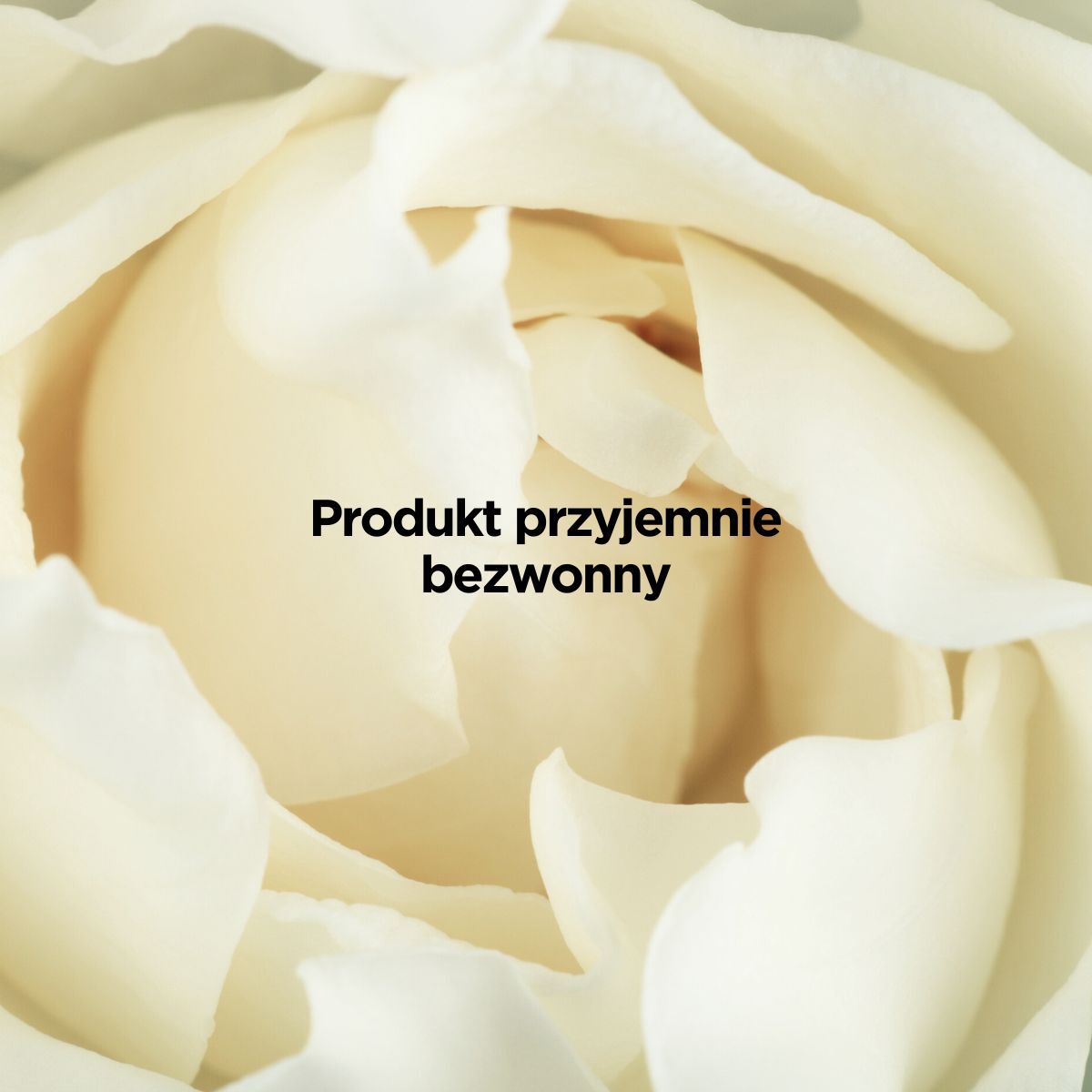 Uzdrowisco Gardenia