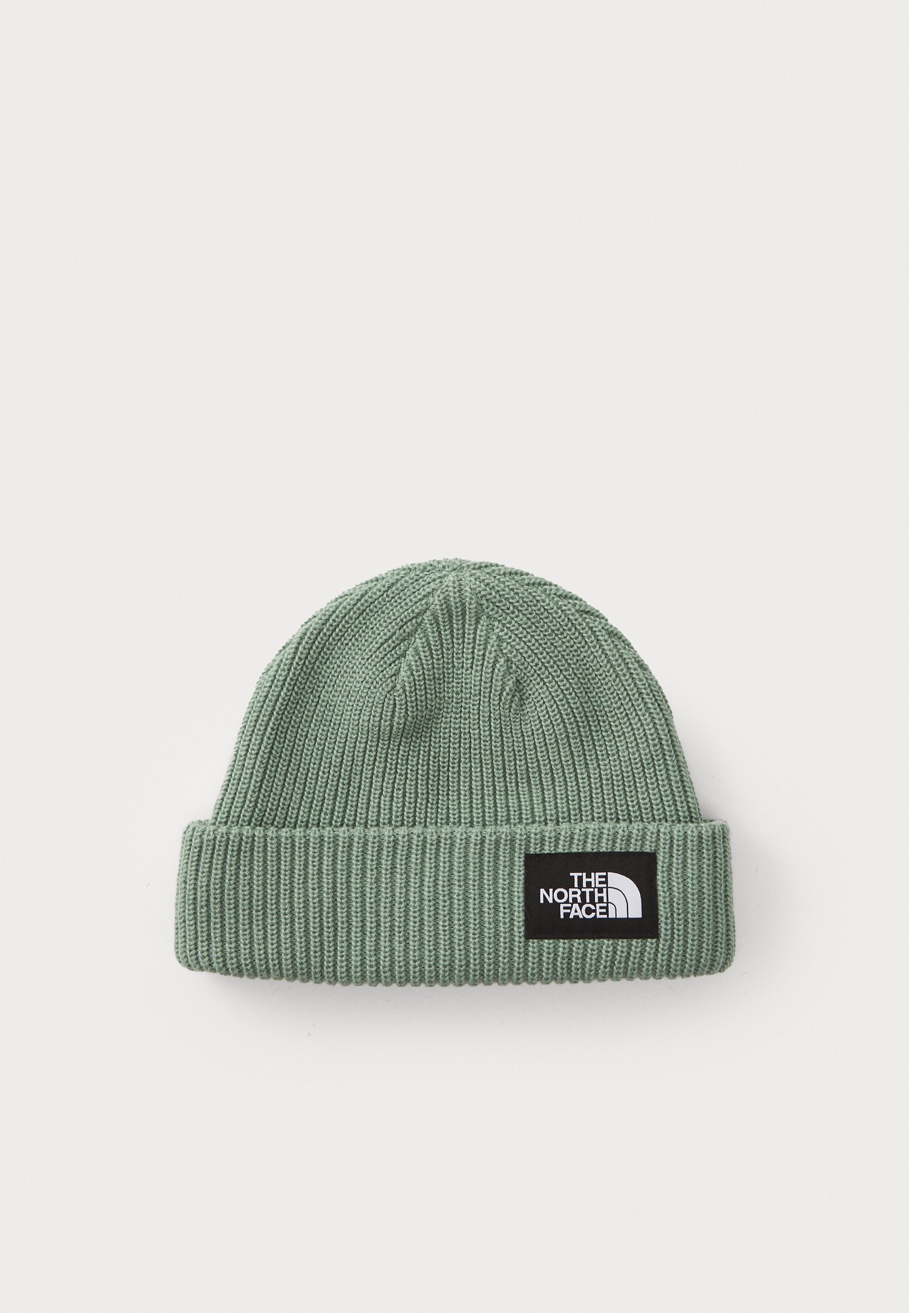 The North Face SALTY LINED BEANIE - Muts - leisteenmos