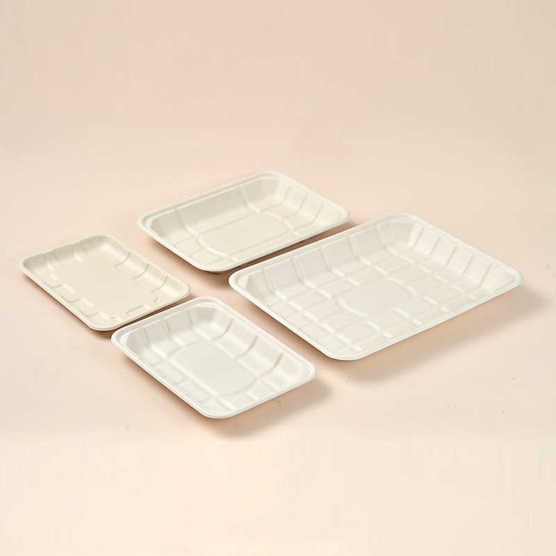 Envase desechable ecológico de fibra moldeada de caña de azúcar, biodegradable, para carne, frutas y verduras.