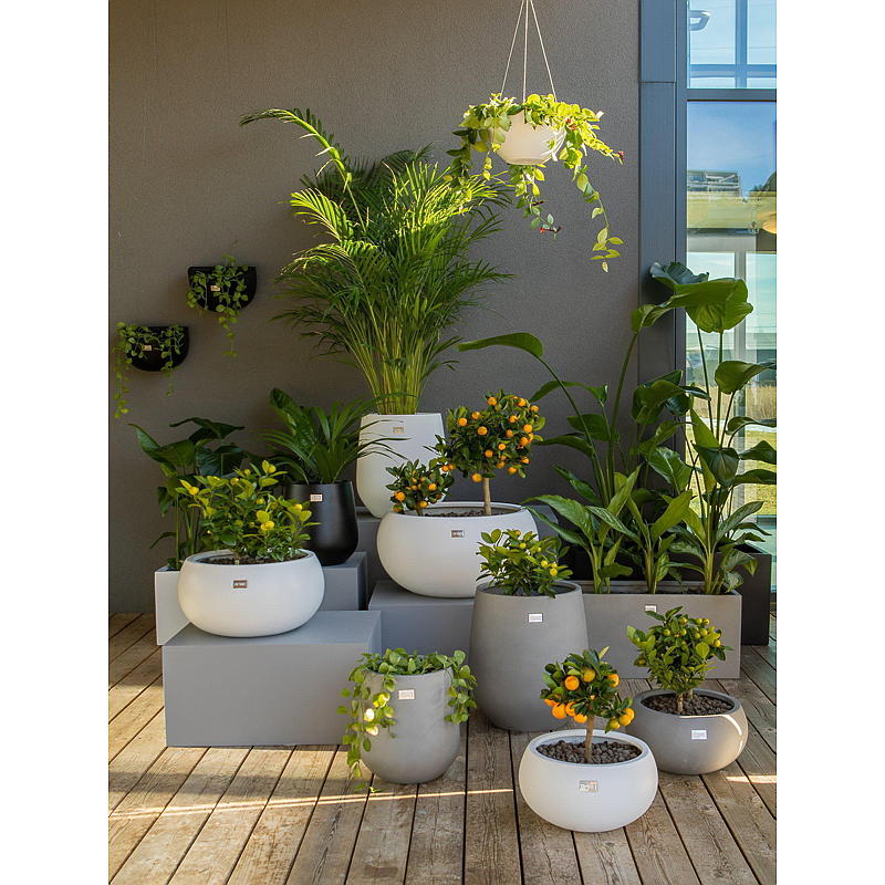 Vaso da casa Malaga ø 34x18 cm, grigio