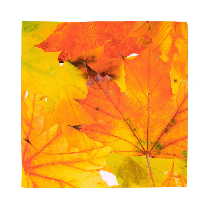 Vie Eco Servetter 20-pack 33x33 cm Höstsäsong