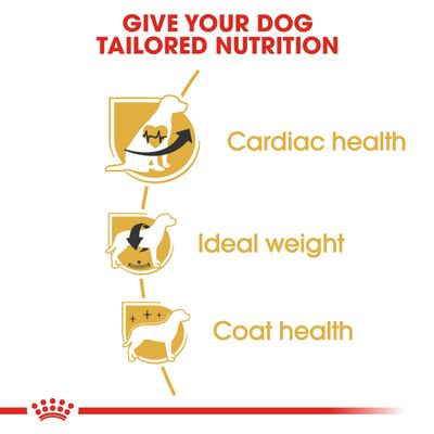 Royal Canin Cavalier King Charles Spaniel (Erwachsener)