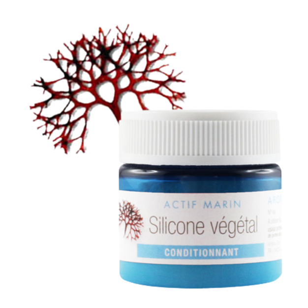 Actif Silicone végétal 100ml
