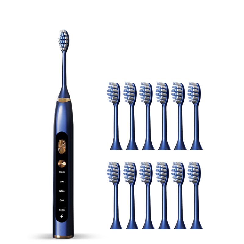 5 Modes 3 Strength Waterproof Soft Bristles Teeth Whitening Electric Toothbrush With 12 Replacement Heads Set
