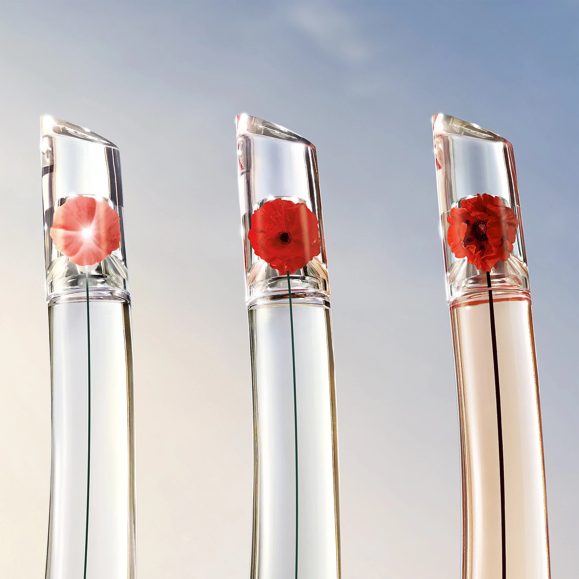 Flower By Kenzo L'Absolue EdP 30 ml - Kenzo