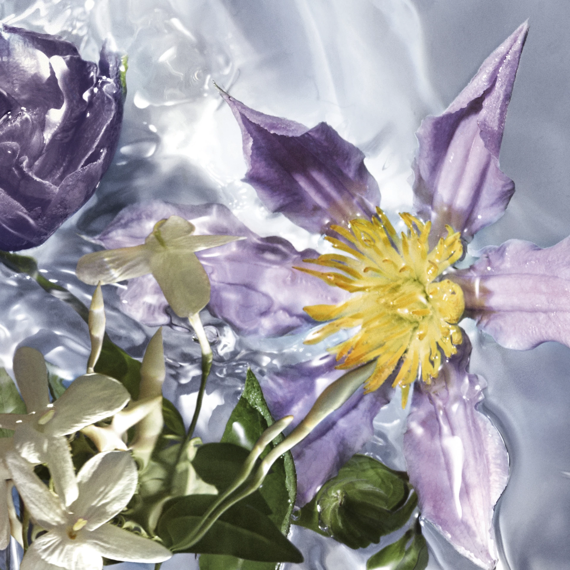 Aqua Allegoria Flora Salvaggia EdT 75 ml - GUERLAIN