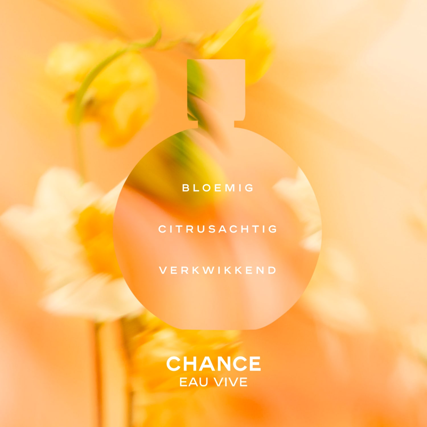 CHANEL CHANCE EAU VIVE EAU DE TOILETTE Eau de Toilette - 50 ml