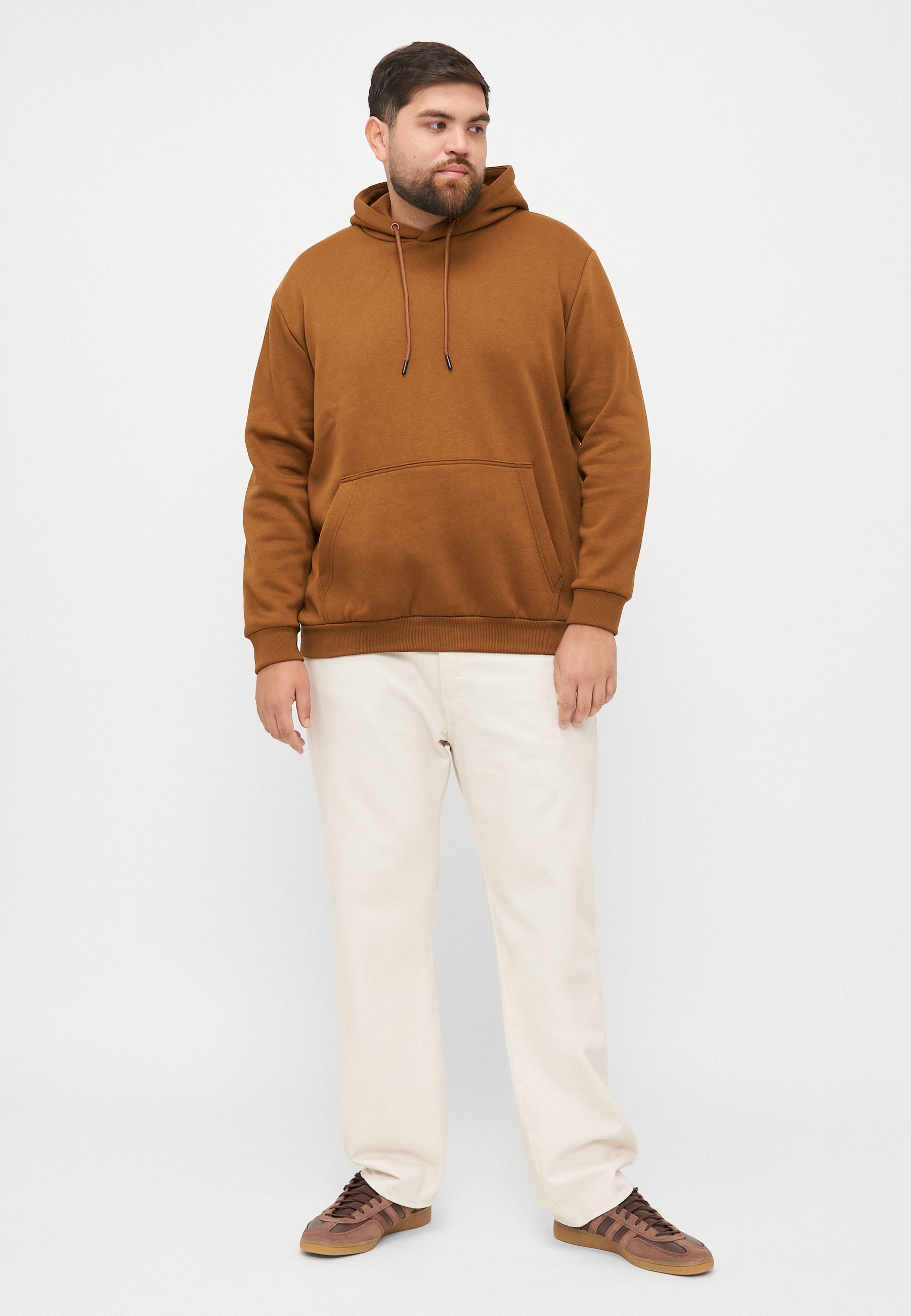 Jack & Jones JJEBRADLEY HOOD - Sweatshirt - monnikspij