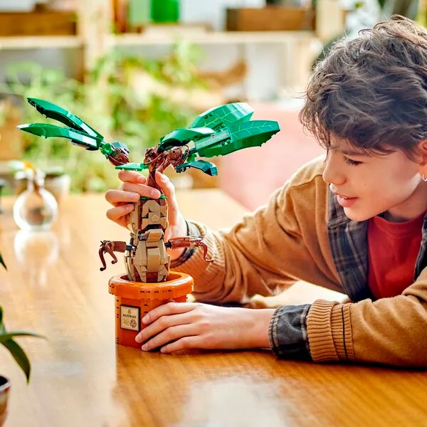 LEGO Harry Potter 76433 Mandragora