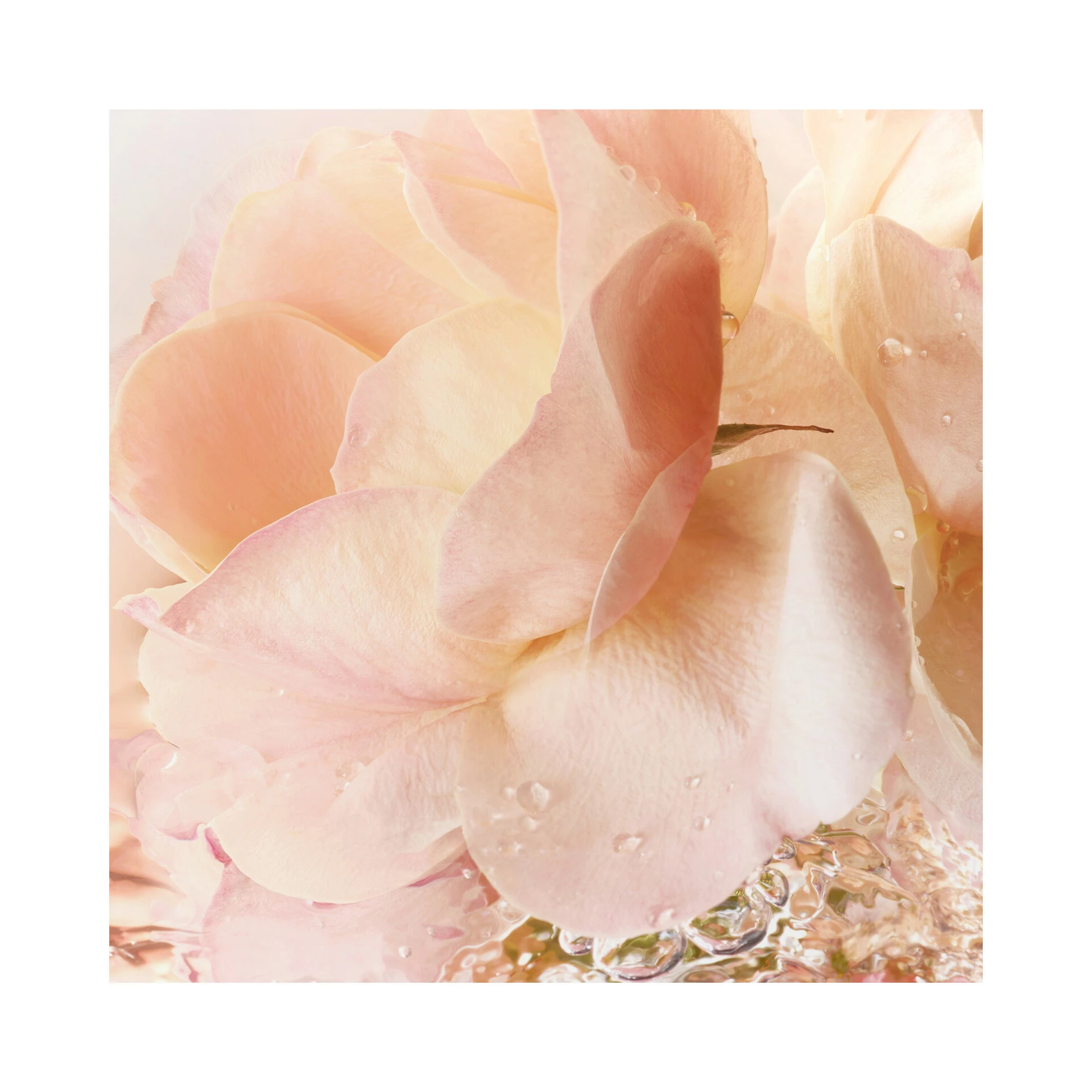 Idôle toaletna voda 25 ml - Lancôme