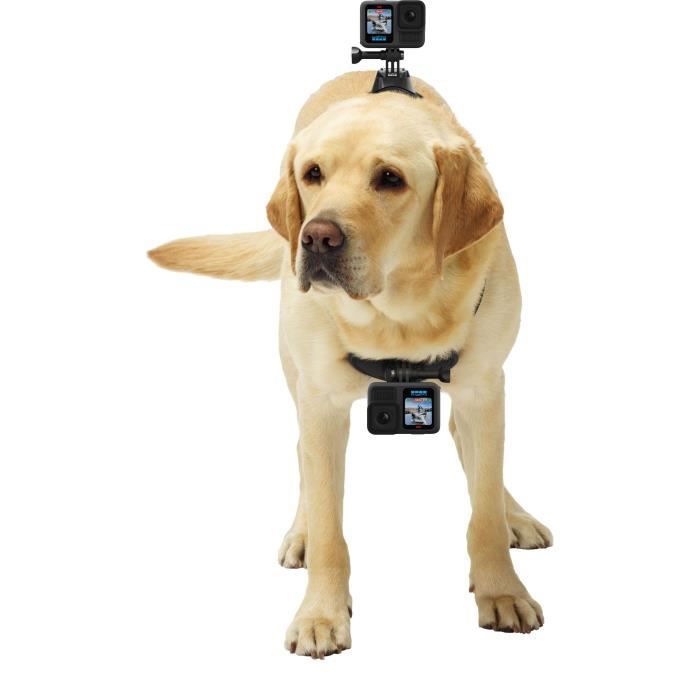 Caméra de sport - GoPro - HERO 13 Black - Étanche - Vidéo 5.3K60 - Compatible objectifs HB