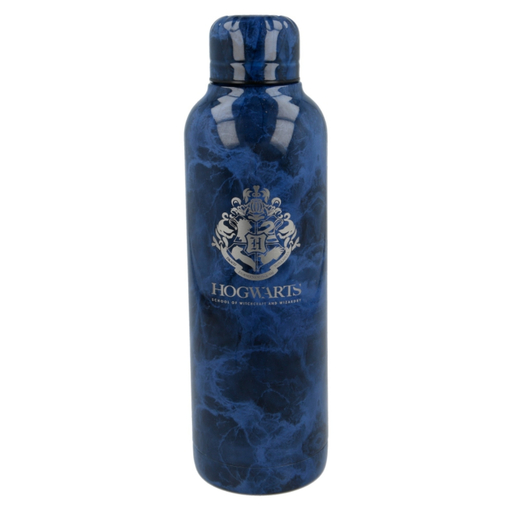 Garrafa térmica Harry Potter 62063
