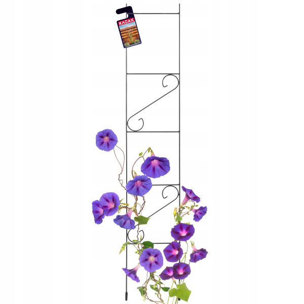 Drabinka Podpora Ogrodowa Na Kwiaty Róże 150cm