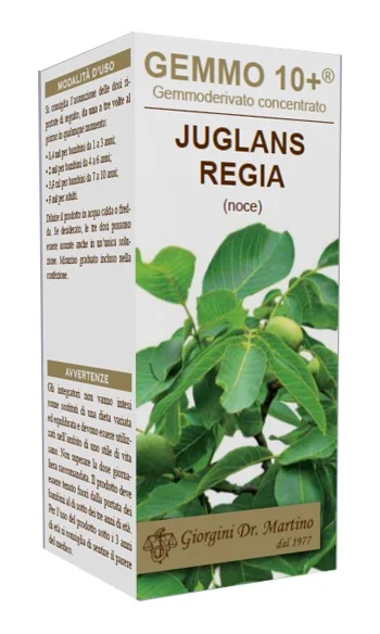 DR. GIORGINI Oor 100 ml Analco Gemmo 10+