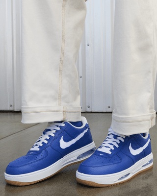 Nike Air Force 1 Low EVO Herenschoenen