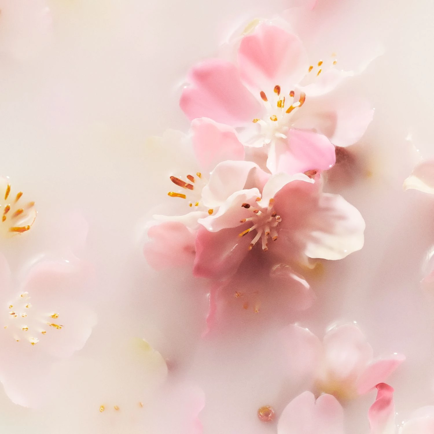 The Ritual of Sakura autóillatosító - Rituals