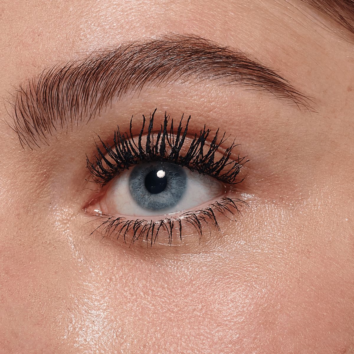 L'Oréal Paris Lash Paradise