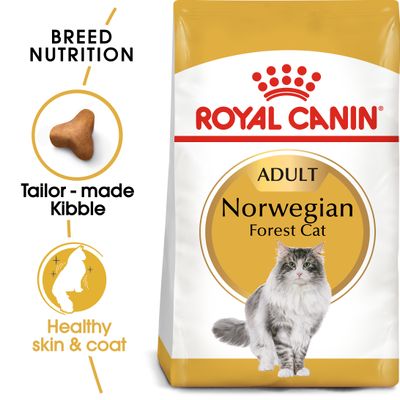 Royal Canin Norwegische Waldkatze (Erwachsen)
