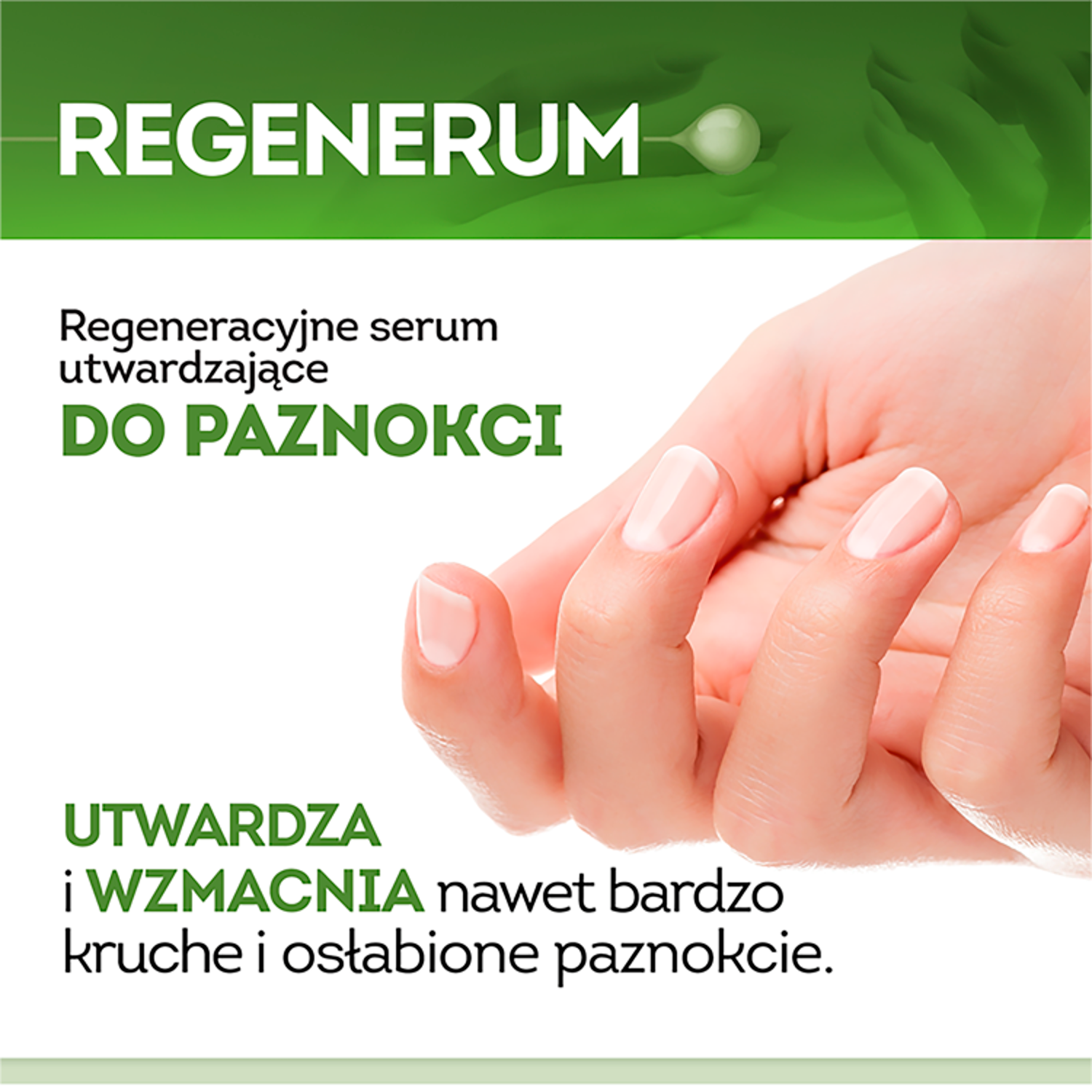 Regenerum