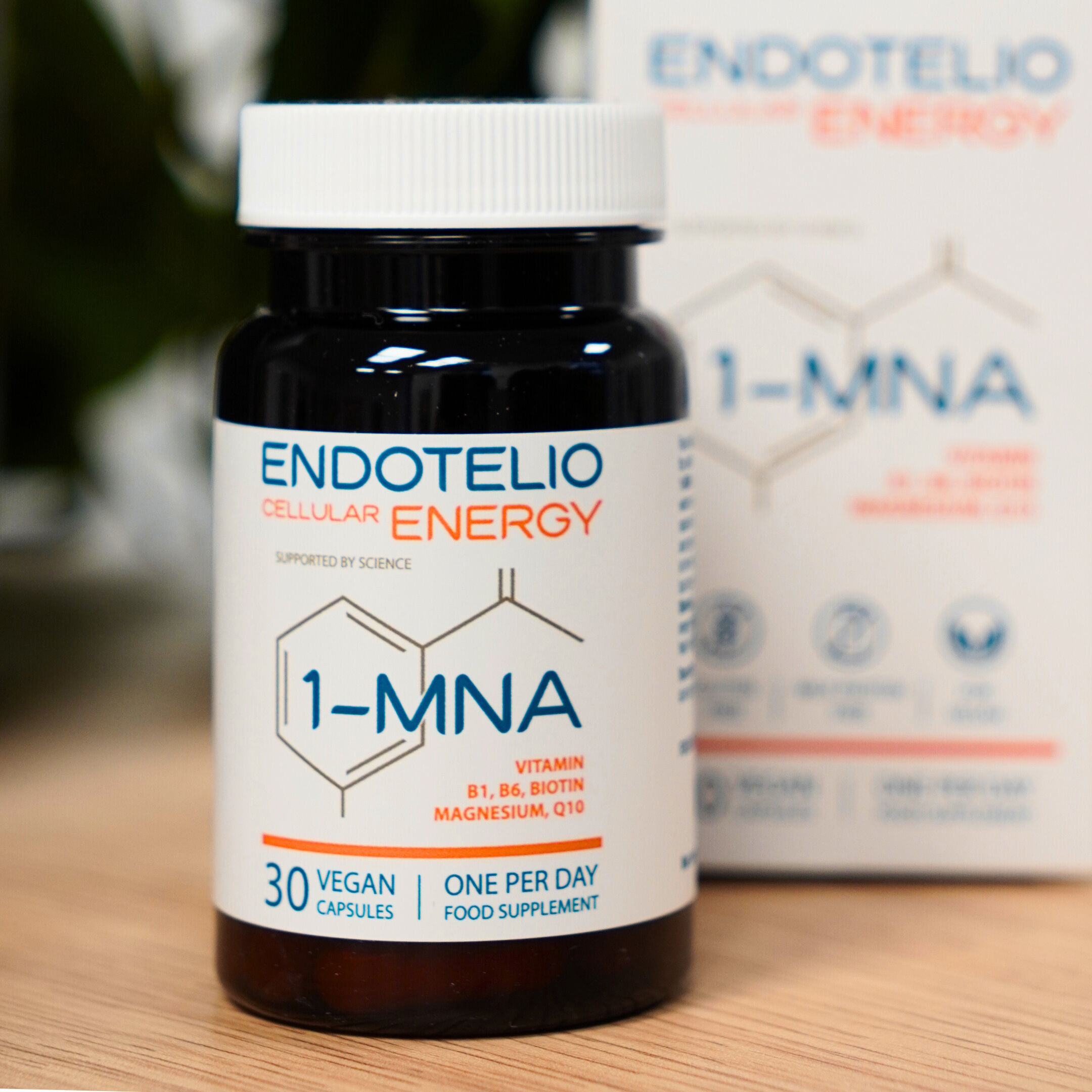 Endotelio Cellular Energy
