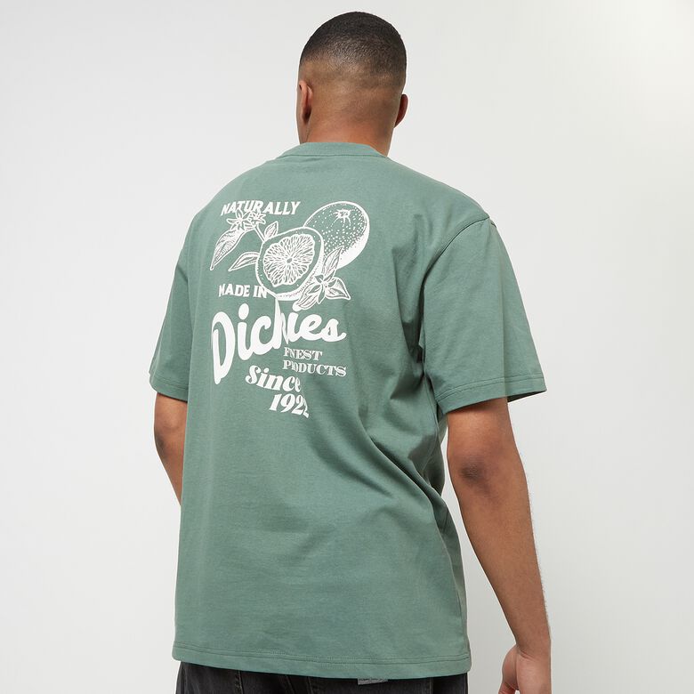 Raven T-shirt Kortärmad
