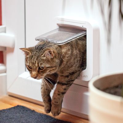 Ușă pentru pisici cu microcip SureFlap