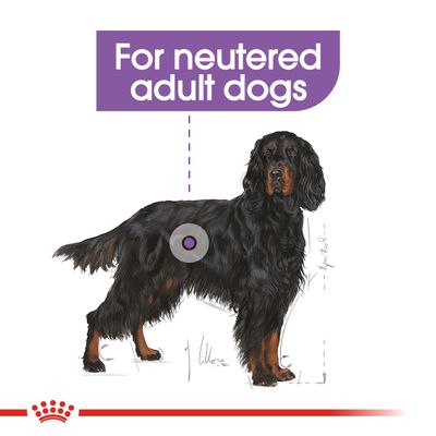 Royal Canin Maxi Sterilisiert