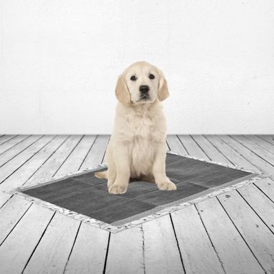 Savic Puppy Trainer Pads s aktivním uhlím