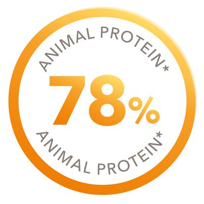 IAMS für Vitality Senior & Mature Large Dog - Huhn