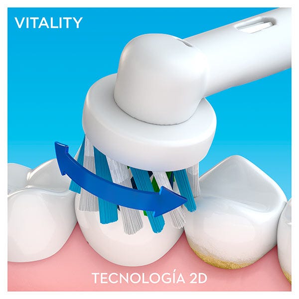 Vitalita | 1UD