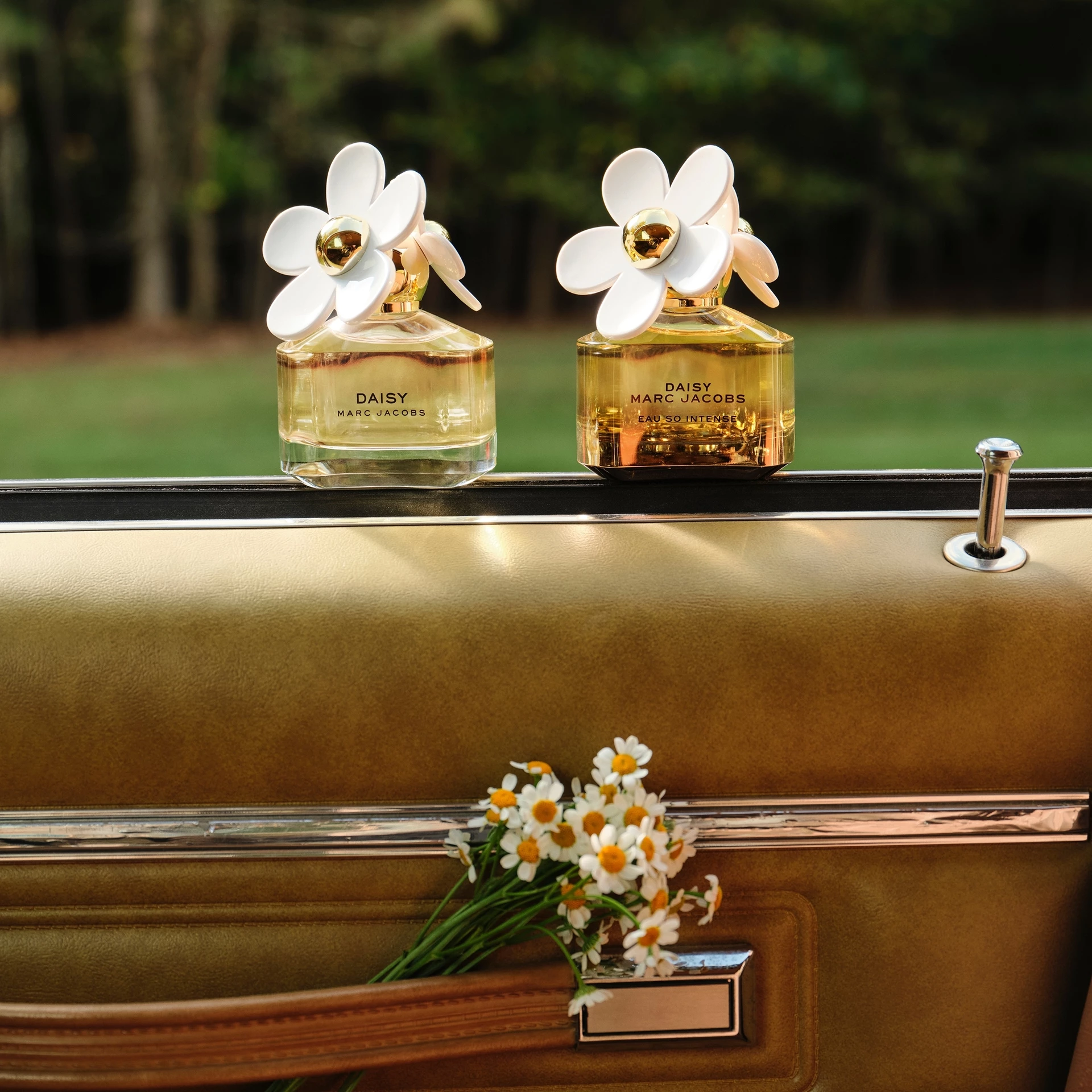 Parfum Daisy 50 ml - Marc Jacobs