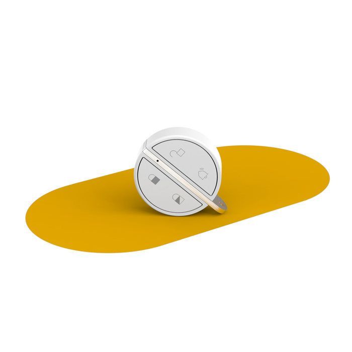 SOMFY 2401489 - Badge per attivazione e disattivazione allarme - Funzione vivavoce - Compatibile con Somfy Home Alarm (Advanced)