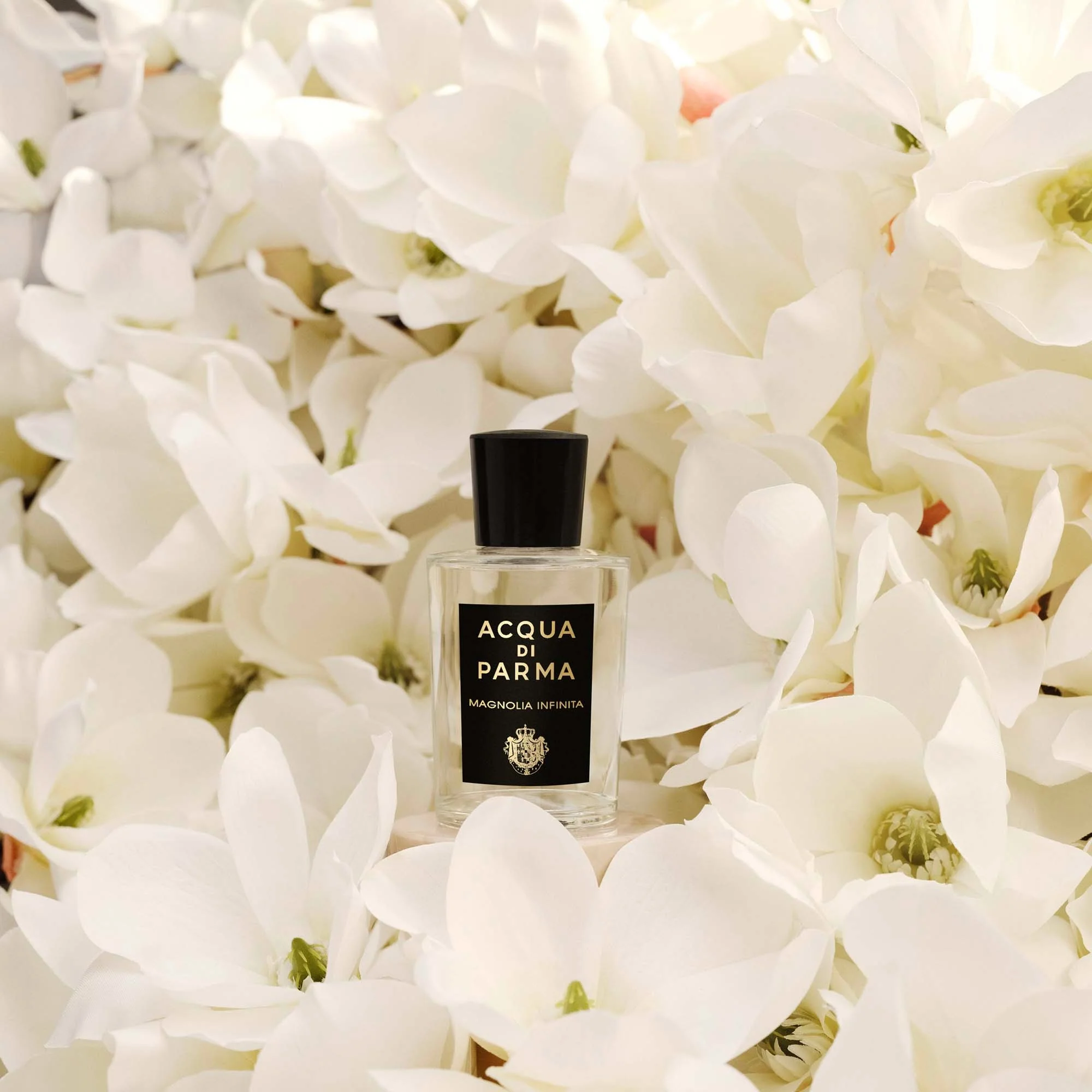 Signatures of the Sun Magnolia Infinita - Eau de Parfum Unisex, Eau de Parfum