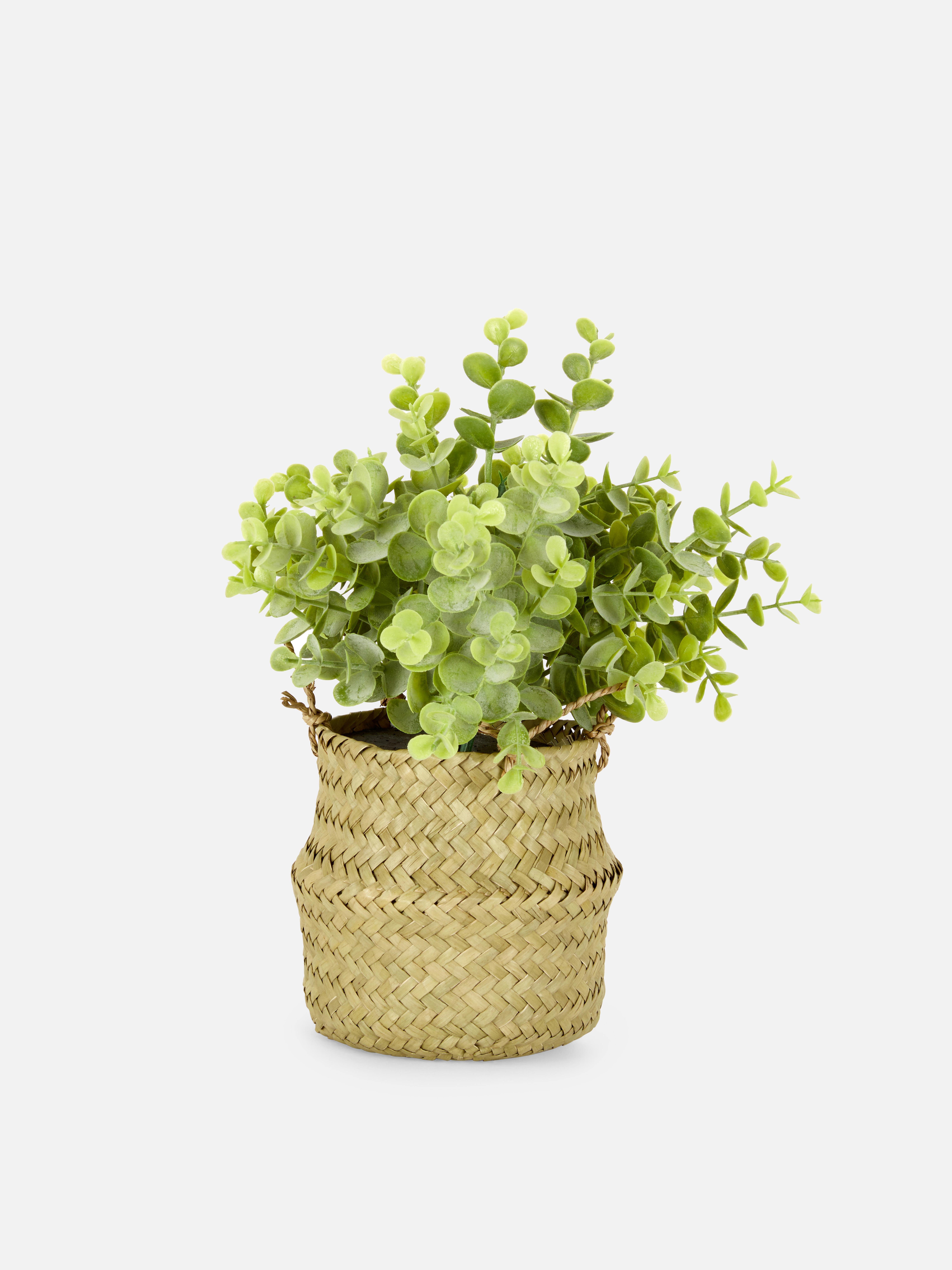 Künstliche Pflanze im Rattankorb Eine realistische Imitationspflanze in einem Rattankorb