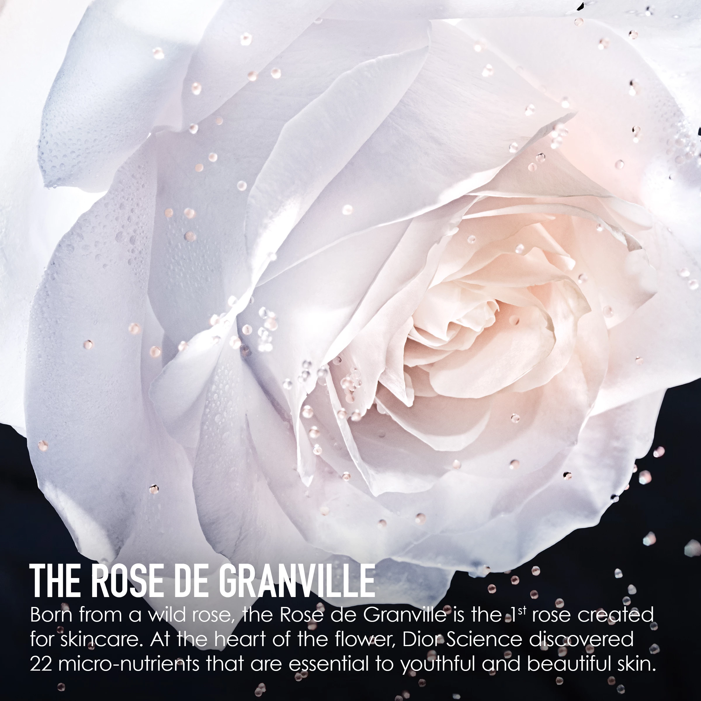 Prestige Le Micro-Caviar De Rose 75 ml - DIOR