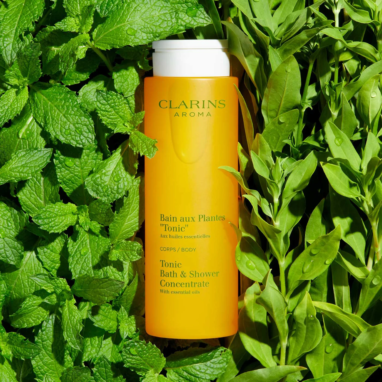 Aroma Bain aux Plantes 