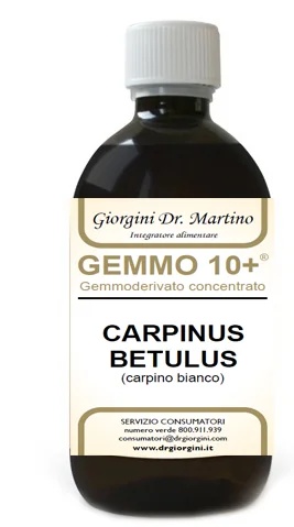 DR. GIORGINI Carpino Bi 500 ml Analco Gem10+