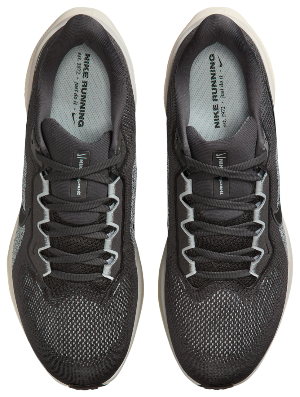 Nike Pegasus 41