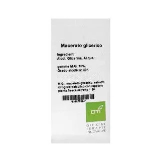 OTI Ulmus Campestri Mg10% Druppels100 ml