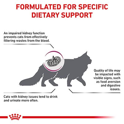 Royal Canin Veterinary Cat - Renal