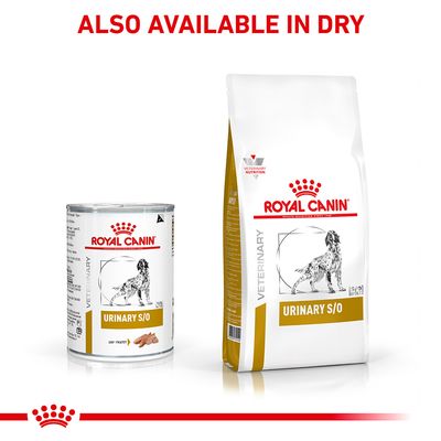Royal Canin Veterinary Dog - Urinary S/O Loaf