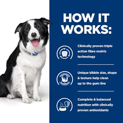 Hill's Prescription Diet Canine t/d Dental Care - Pui