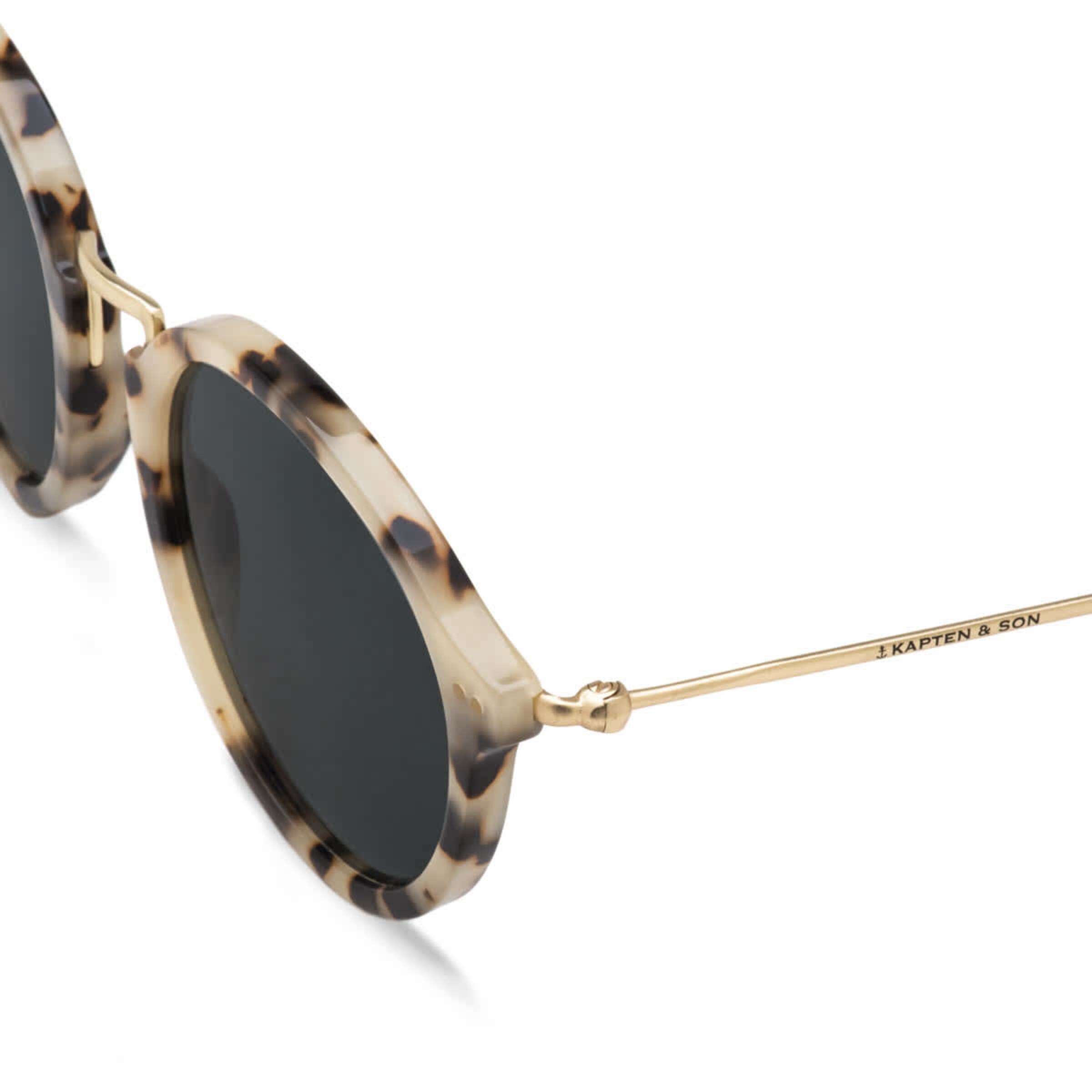 Tortue des sables de Maui noire