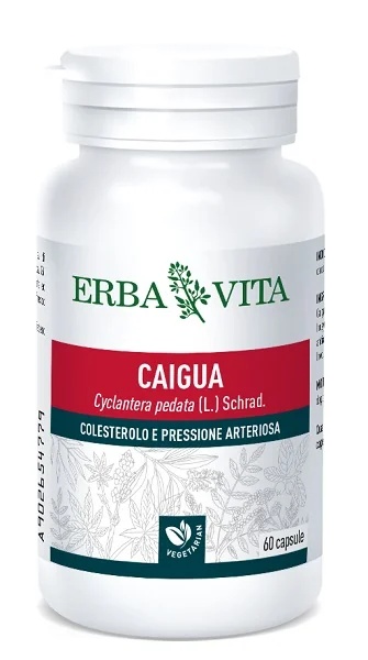 ERBA VITA Caigua 60 capsules 400 mg